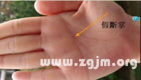 熊老师说掌相56
