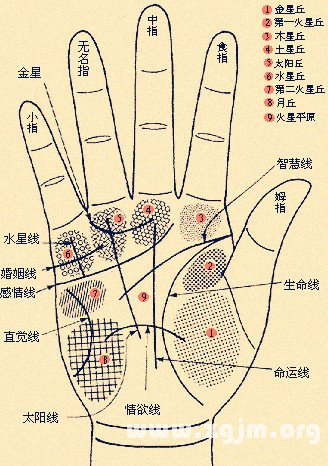 手相歌诀