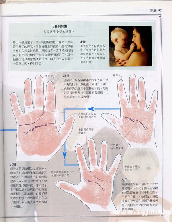 《手相学习百科》：手相看家庭与遗传