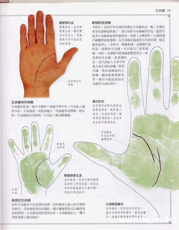 《手相学习百科》：生命线