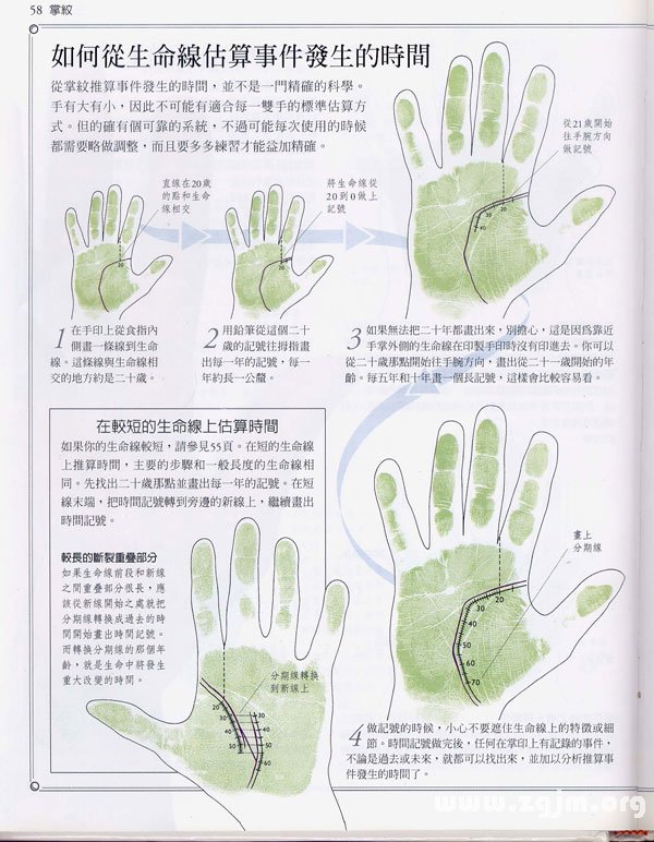 《手相学习百科》：生命线