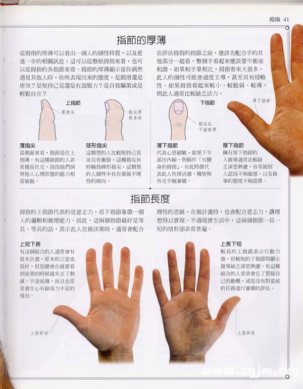 《手相学习百科》：拇指
