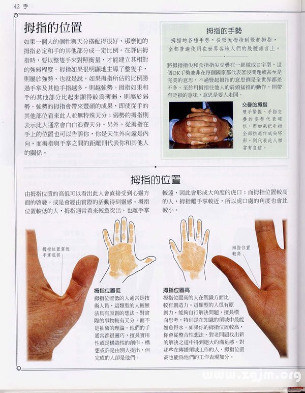 《手相学习百科》：拇指