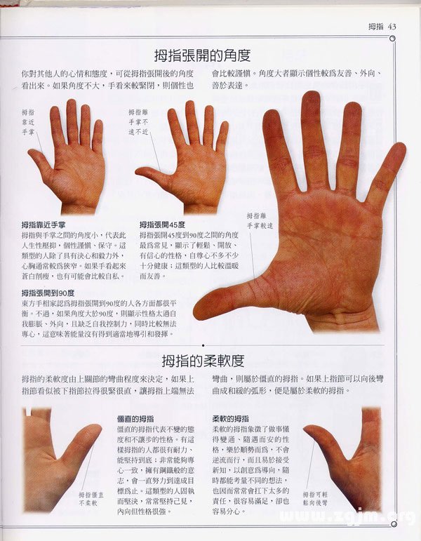 《手相学习百科》：拇指