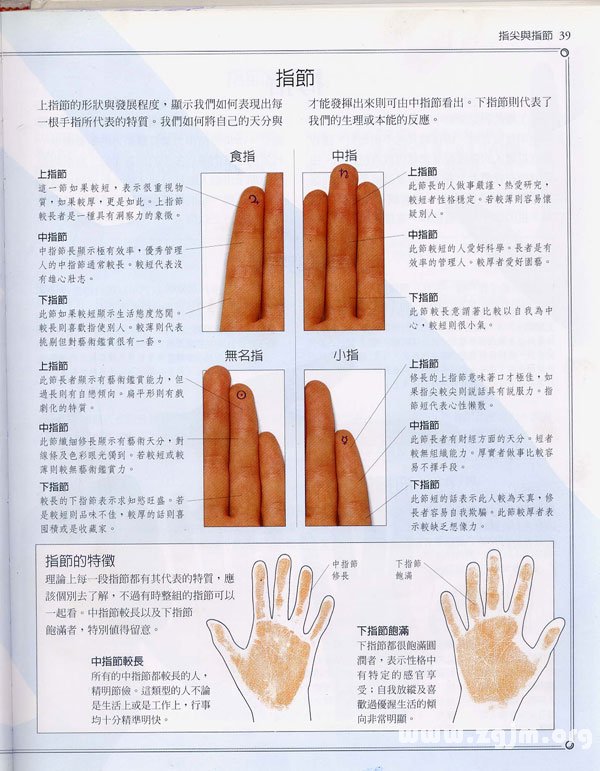 《手相学习百科》：指尖与指节