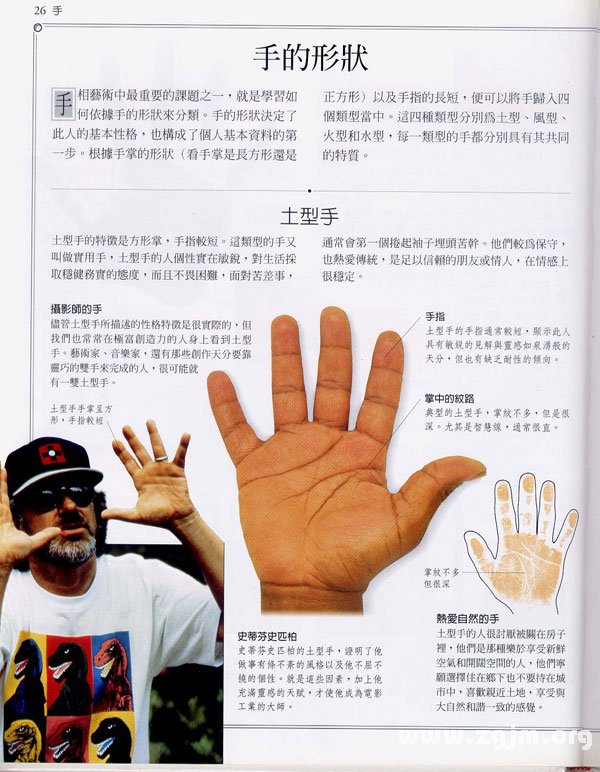 手形状的图片大全,各种手形状的图片大全,土型手图片_大山谷图库