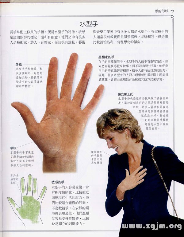 《手相学习百科》：手的形状