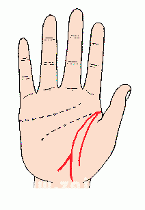 凯帝阿手相算命图解大全03