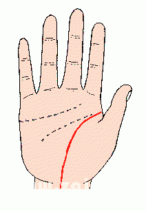 凱帝阿手相算命圖解大全03