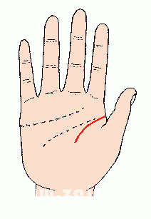 凯帝阿手相算命图解大全03