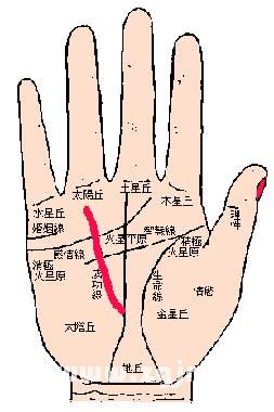 财运线