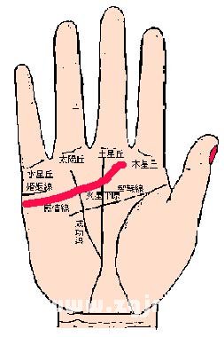 感情线要长