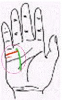 26个掌纹看法