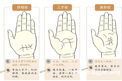 超全！掌纹手相让你一次看个够