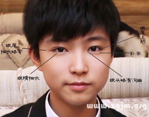 桃花眼图解 桃花眼图片_看相大全