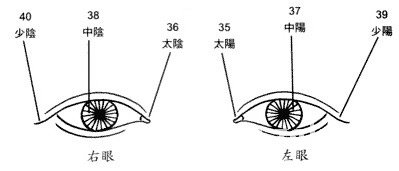 眼神眼形眼睛面相图解
