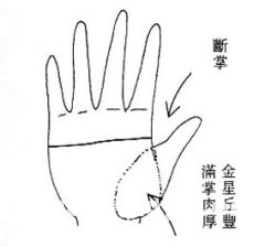 13b53063003010-325J1.jpg