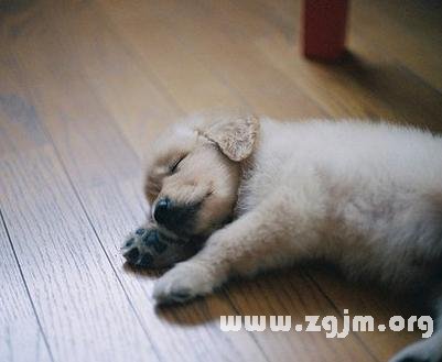 你有嫁高富帅的好运么